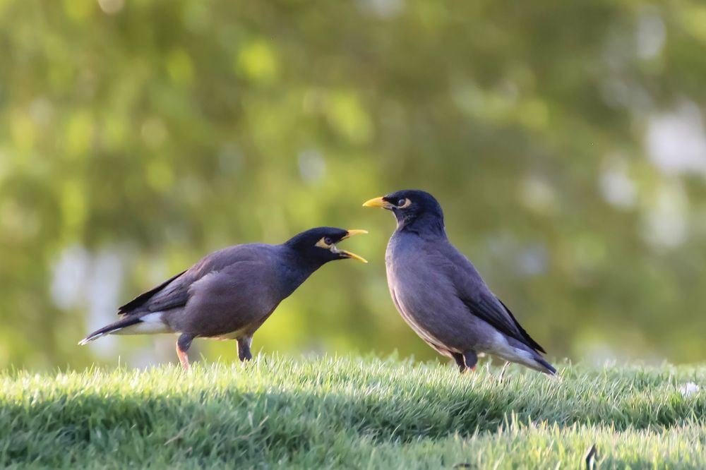 Photograph by reymart sefuentes