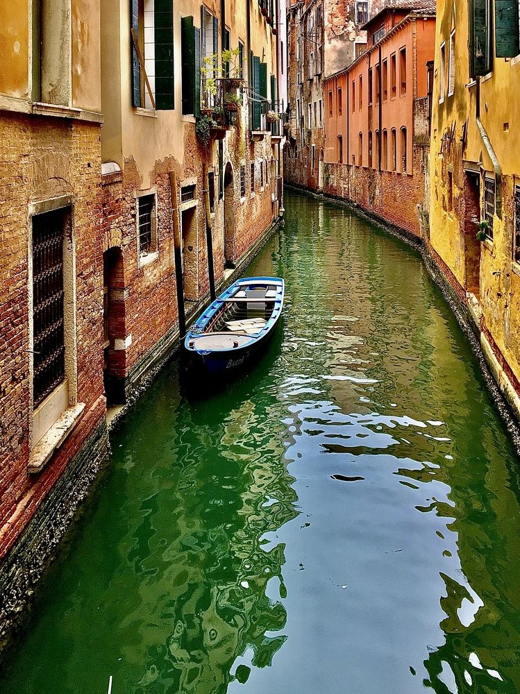 Photograph by Александр Белогаев