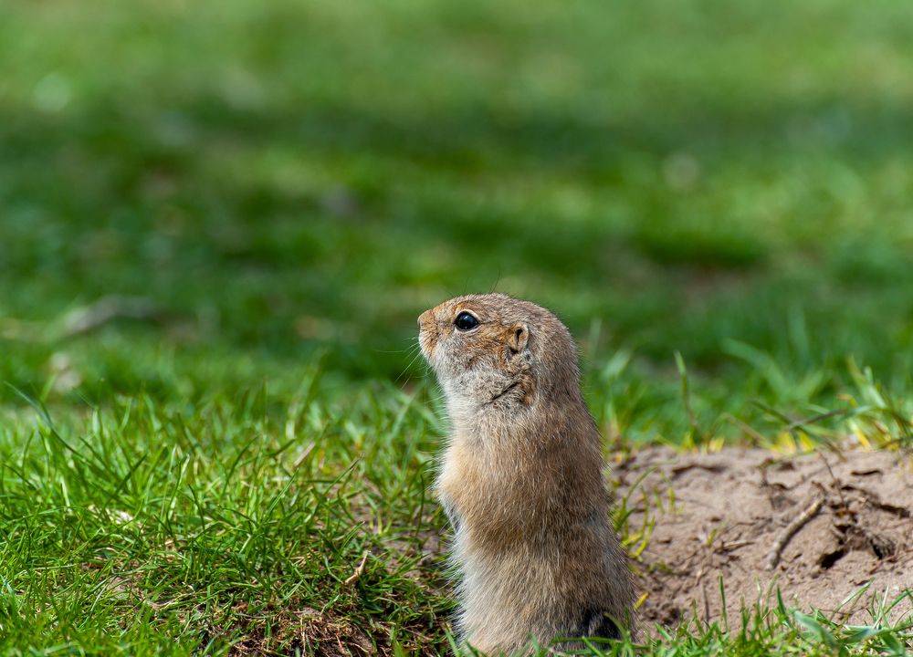 Photograph by Вадим Басов