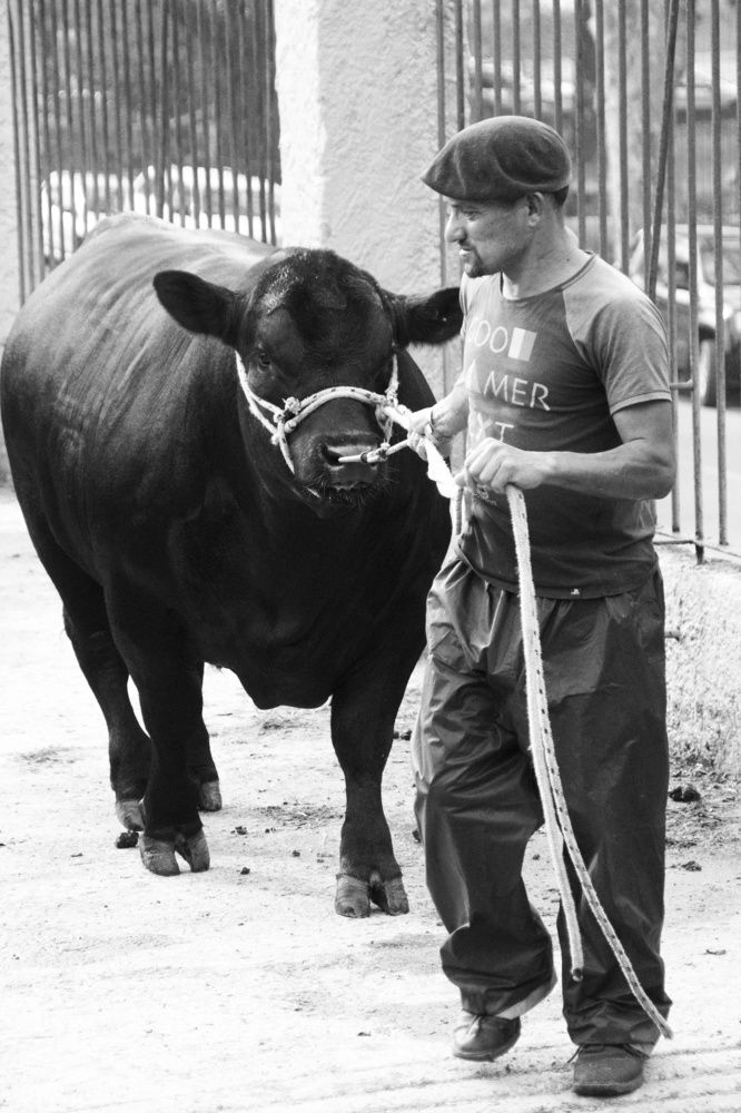 Photograph by Markov Dima