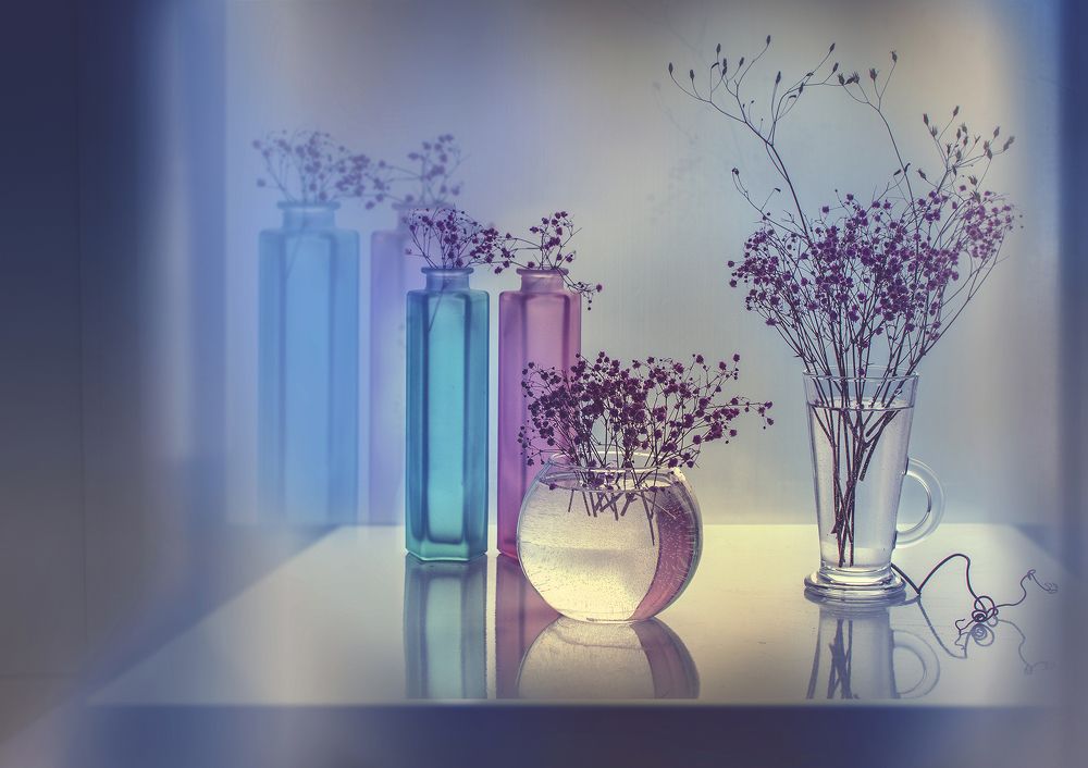 Фотография автора Ирина Шипунова