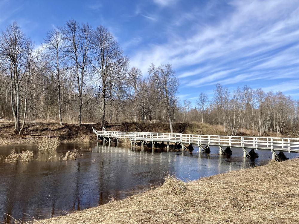Весенний Раек
