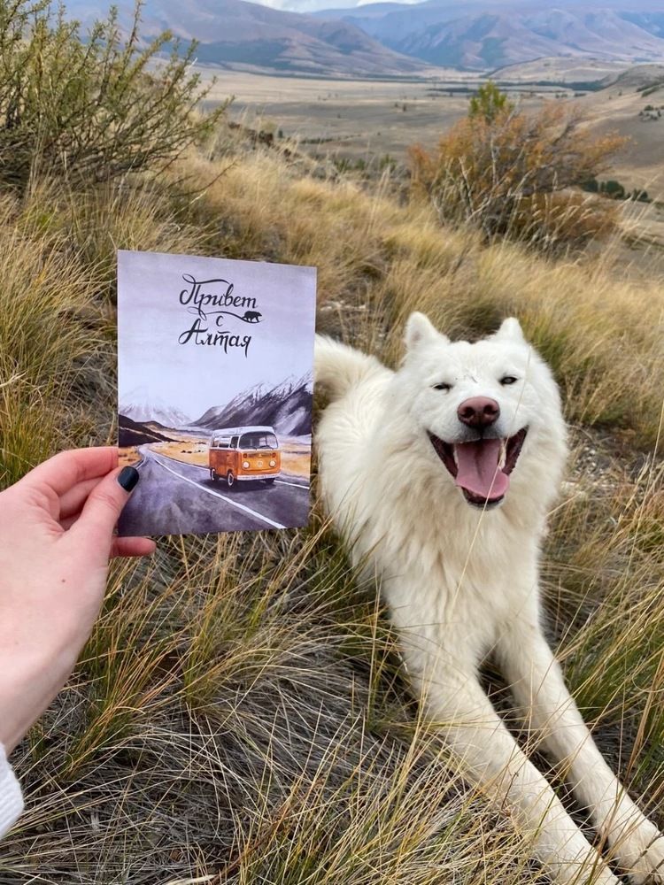 Photograph by Олег Лебедев