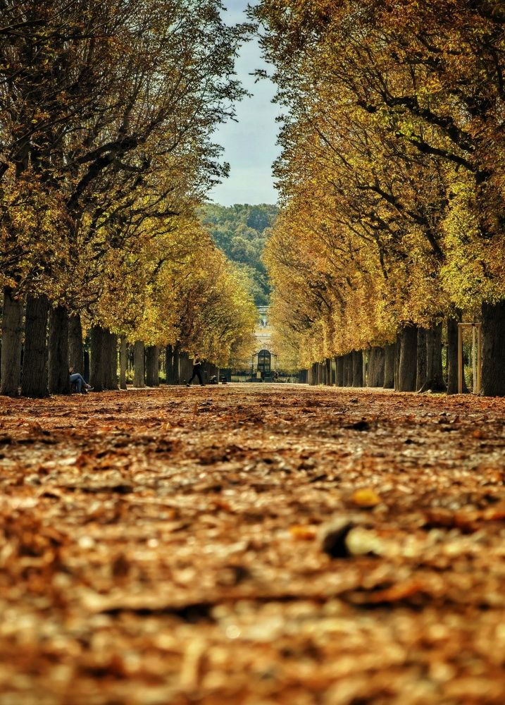 Photograph by Iulian Acris