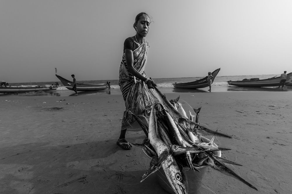 Photograph by Zubair Irshad