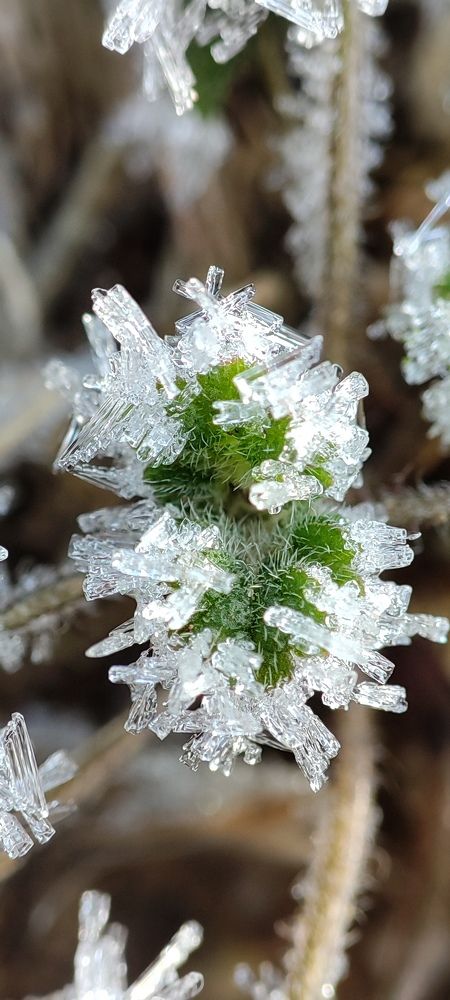 Photograph by Ольга