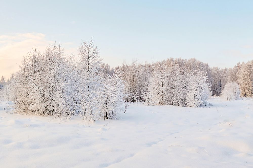 Photograph by Юрий Спасенников