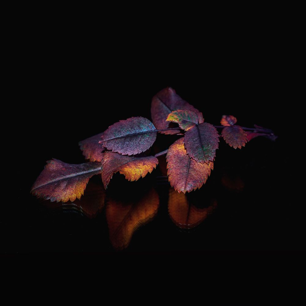 Photograph by Aleksandr Belov