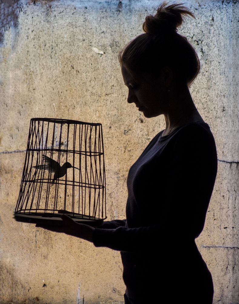 Фотография автора Даниил Почебут