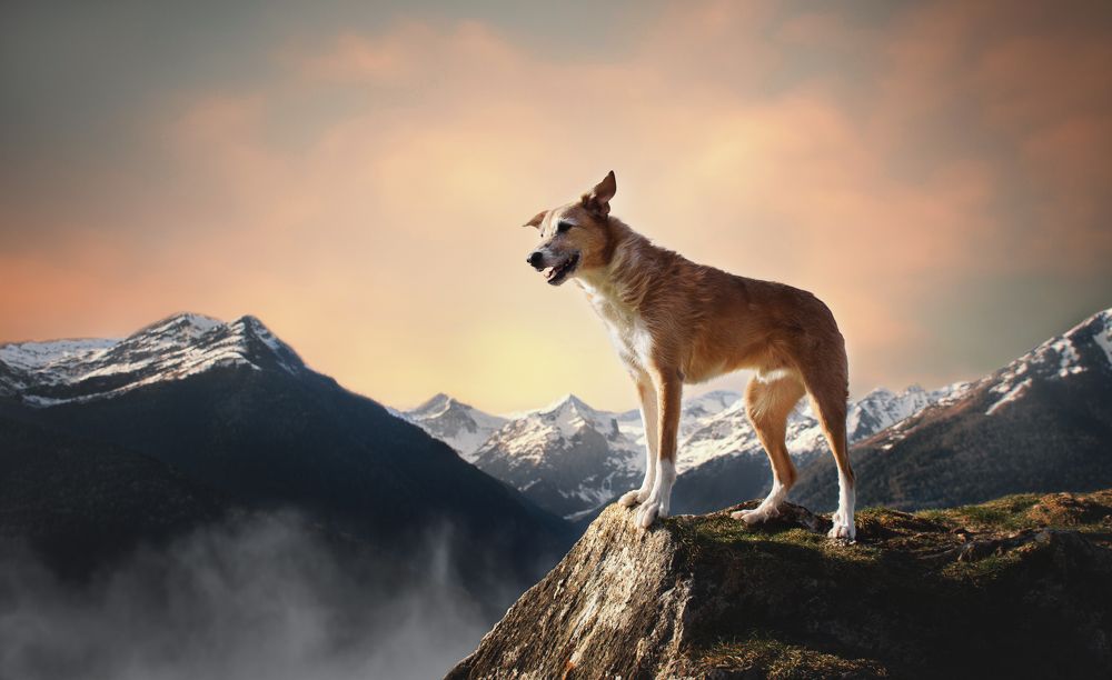 Photograph by leticia pascual garcia