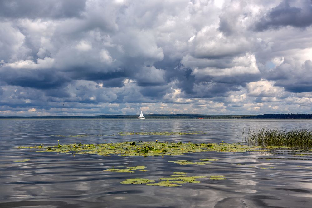 Photograph by Александр Литвинов