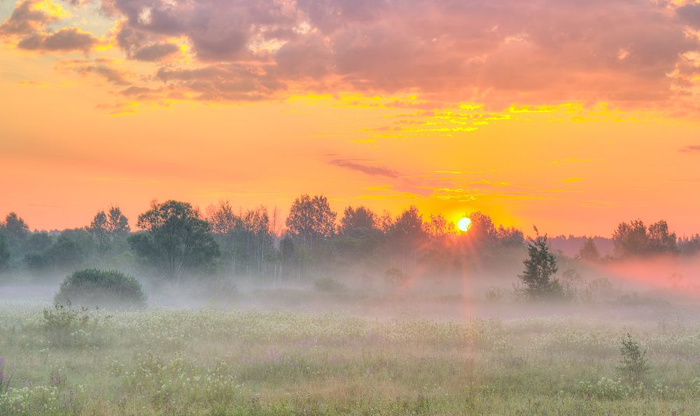 Photograph by Юрий Спасенников