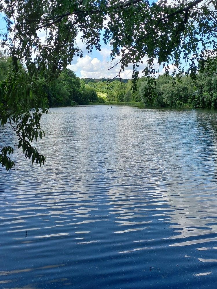 Photograph by Людмила Сотникова