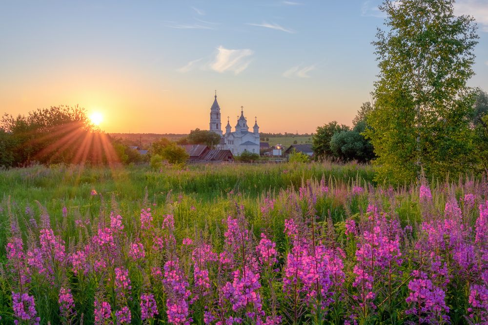 Photograph by Архипкин Александр