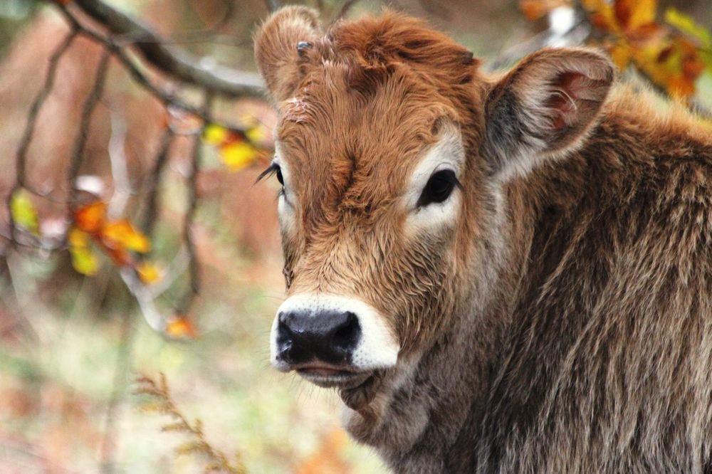 Photograph by Nadzeya