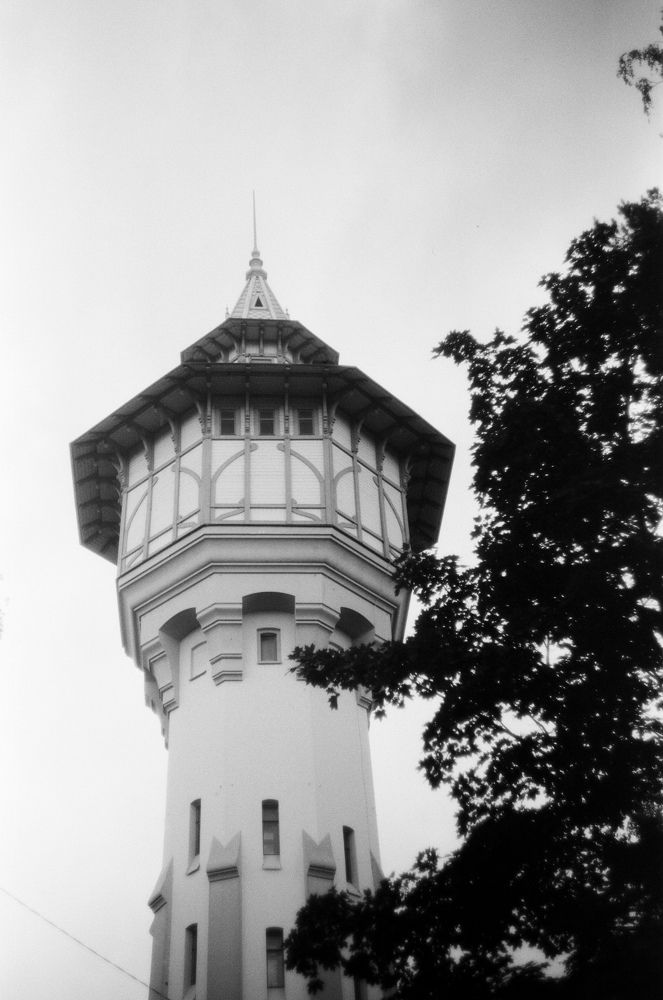 Photograph by Роза Хидиятова