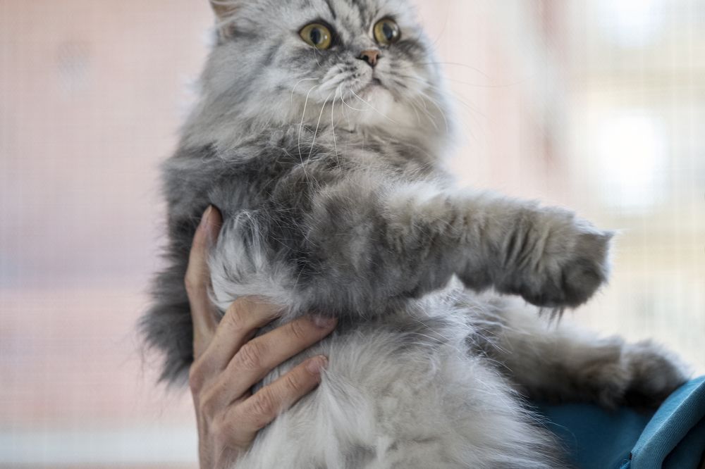 Photograph by Diana Timonina