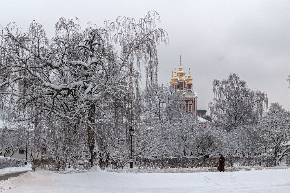 Photograph by Vladimir  Komarov