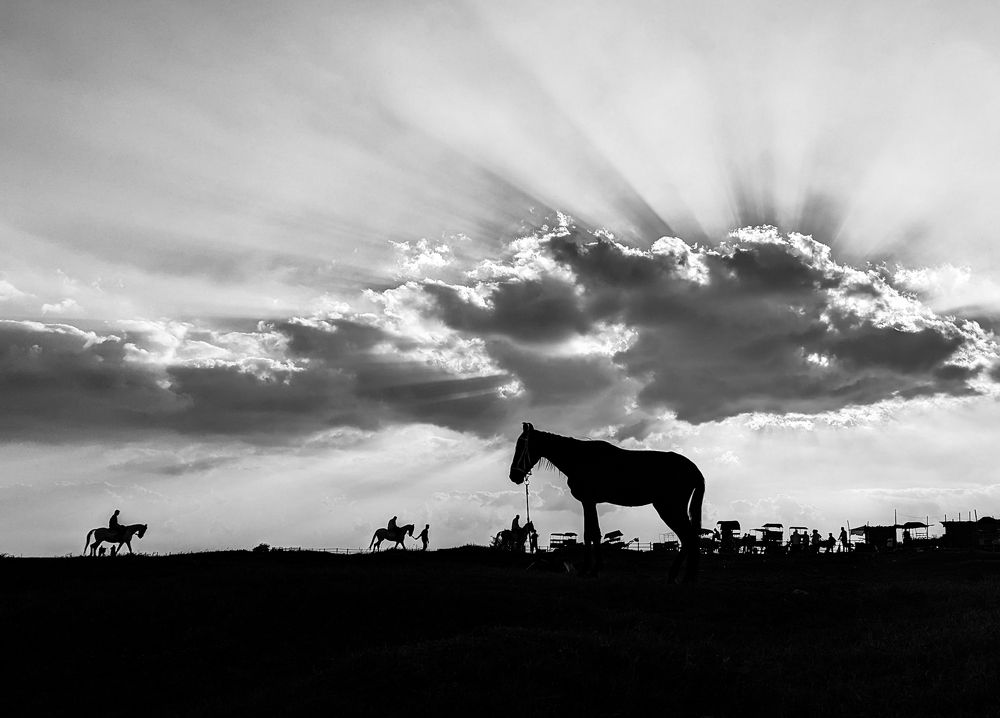 Photograph by Arita Halder