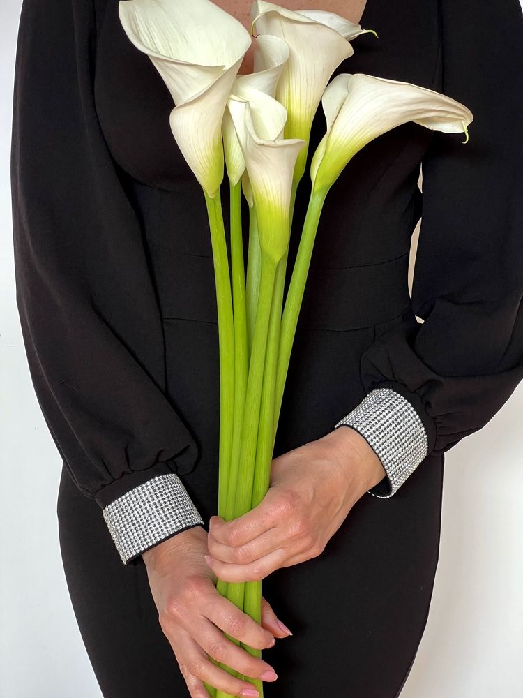 Photograph by Iryna Zakharchenia