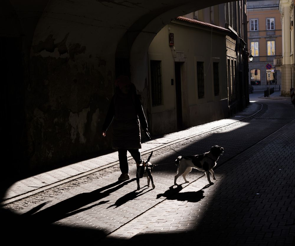 Собачья жизнь.