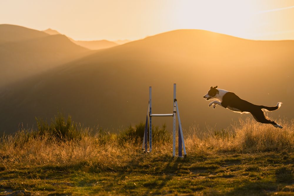 Photograph by Valérie Aubois