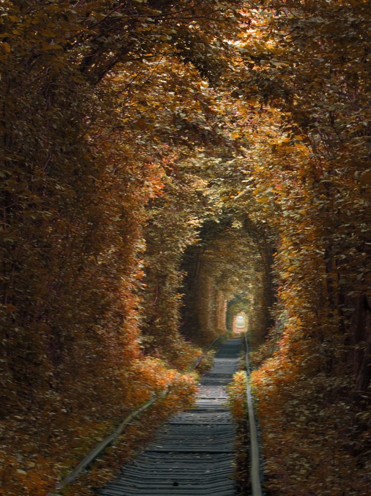 Photograph by Светлана Шмигельская