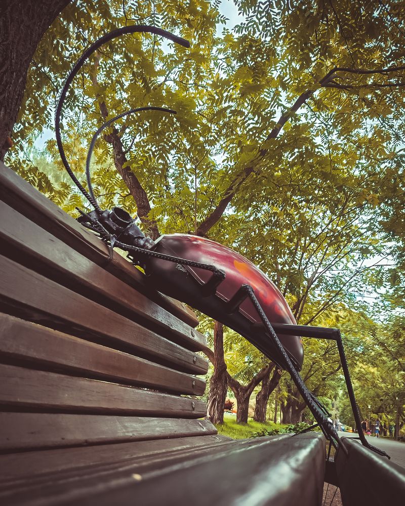 Photograph by Павел Агеев