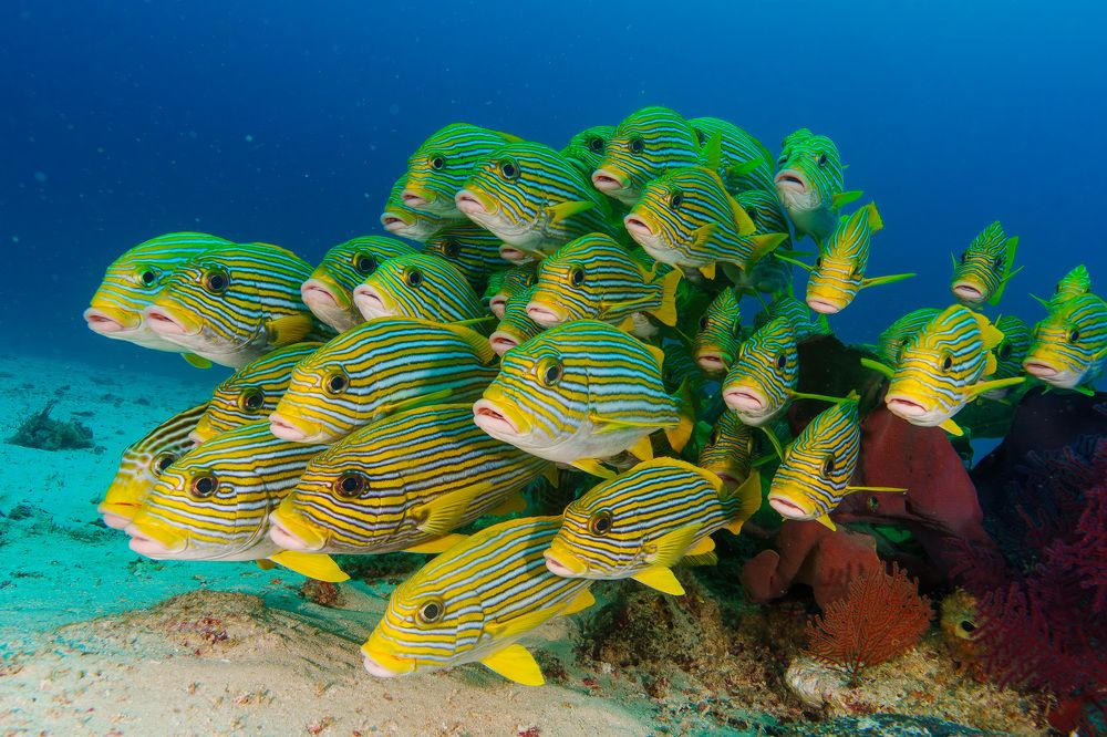 Photograph by Труханов Илья