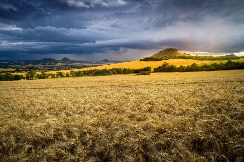 Photograph by Petr Kovar