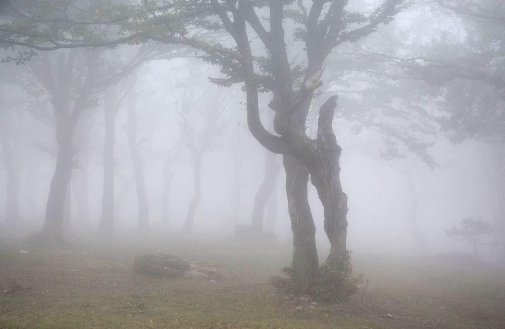 Photograph by Юлия Абрамова