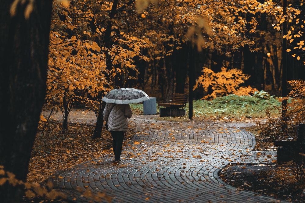 Photograph by Черников Иван