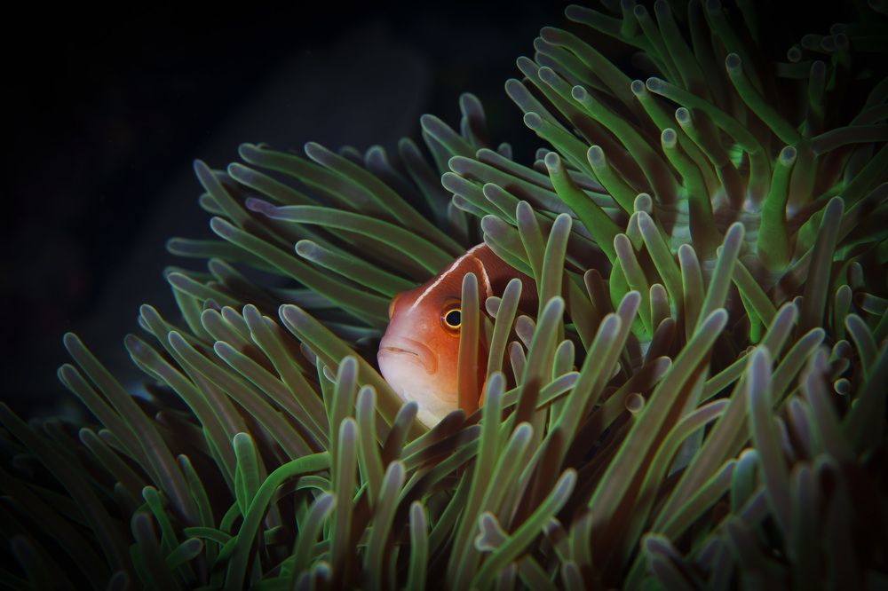 Photograph by Труханов Илья