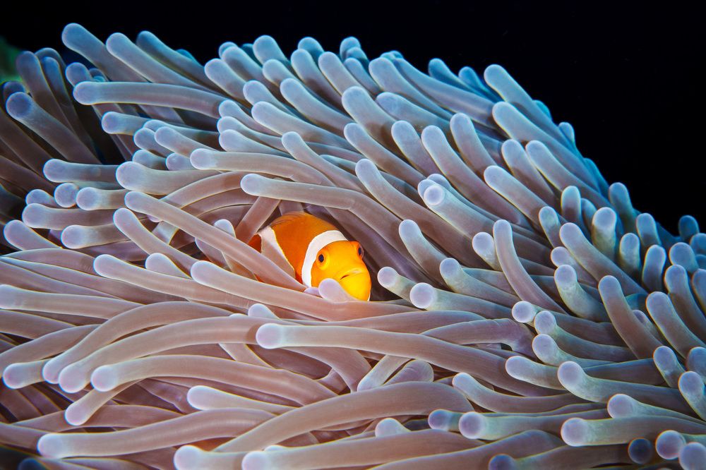 Photograph by Труханов Илья