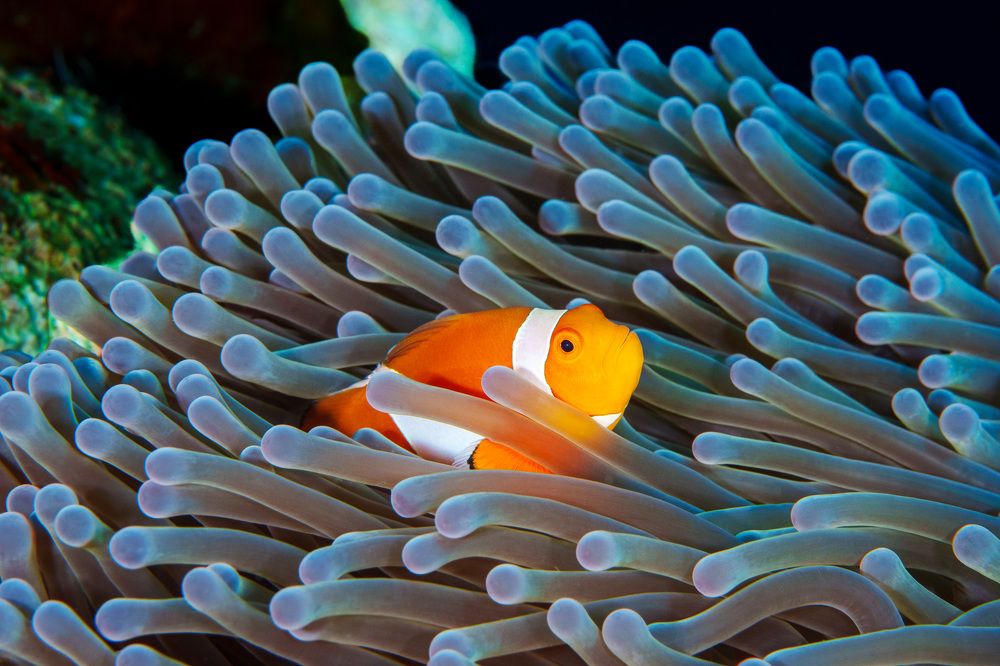 Photograph by Труханов Илья