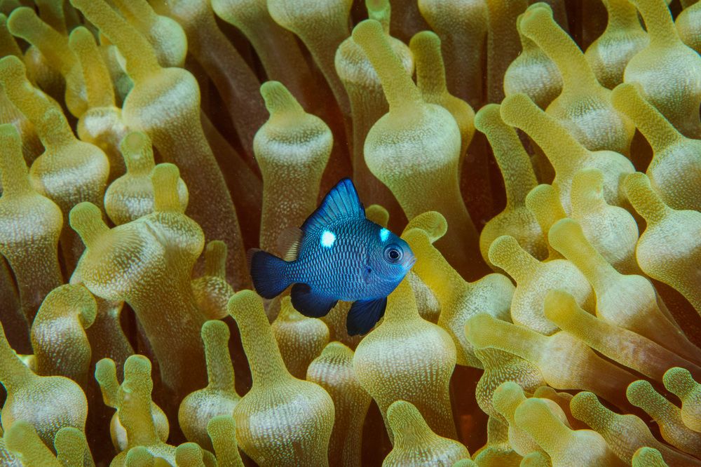 Photograph by Труханов Илья