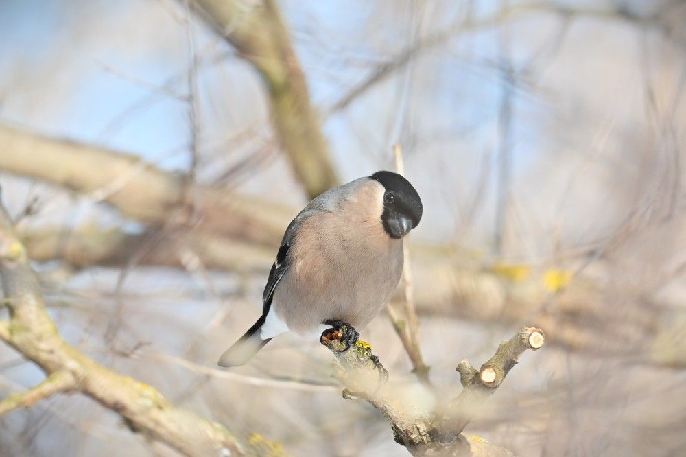 Фотография автора IRINA FILIPPOVA
