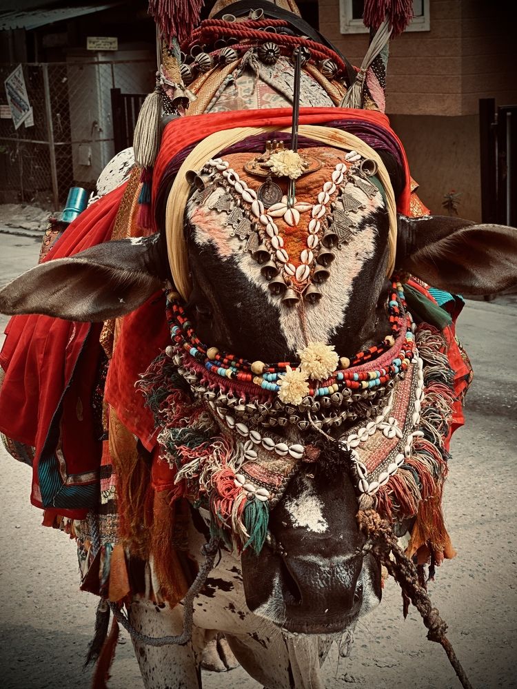 Photograph by Abhijeet Kumar Thakur