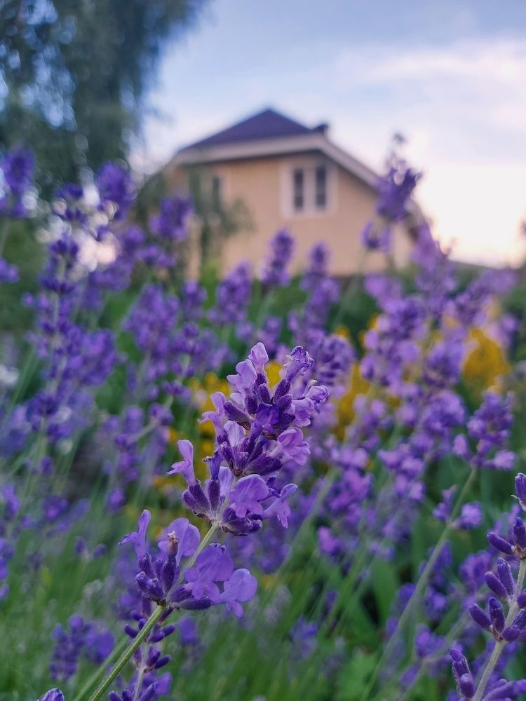 Photograph by Олег Лебедев