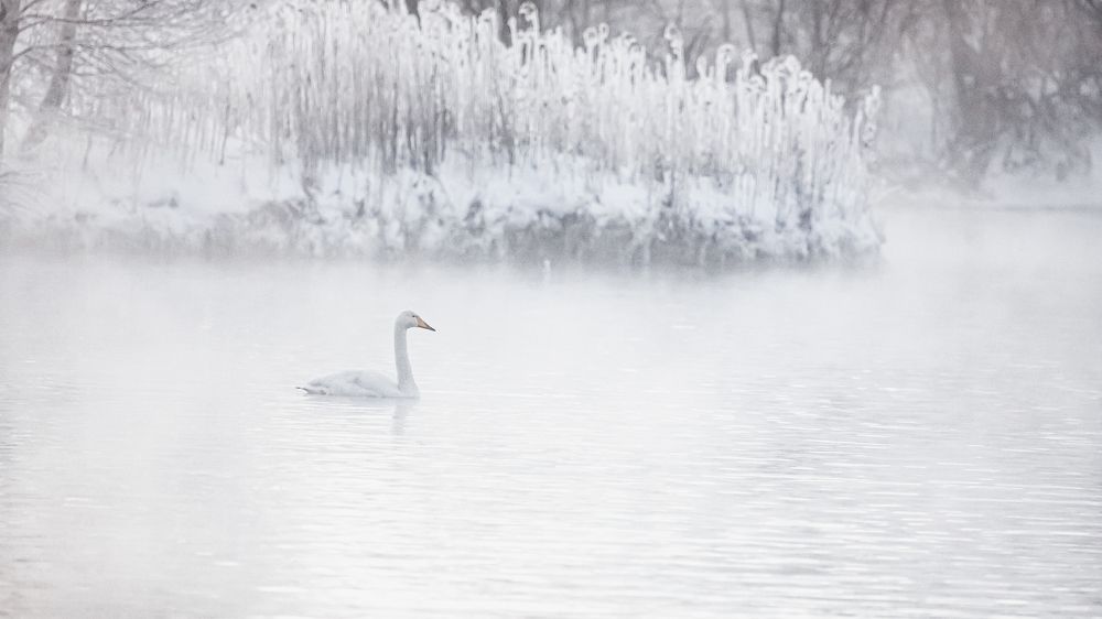 Photograph by Владимир Васильевич