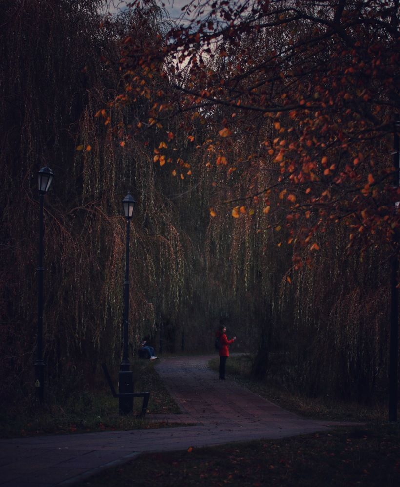 Остановимся