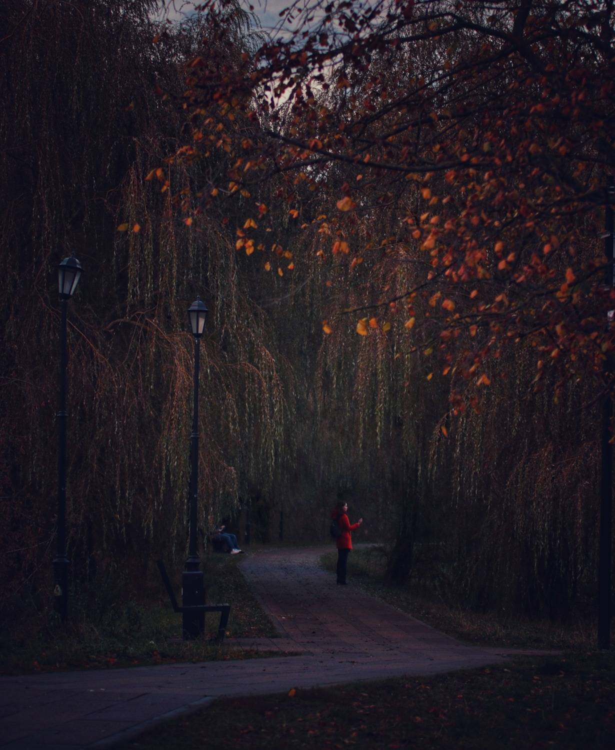 Остановимся