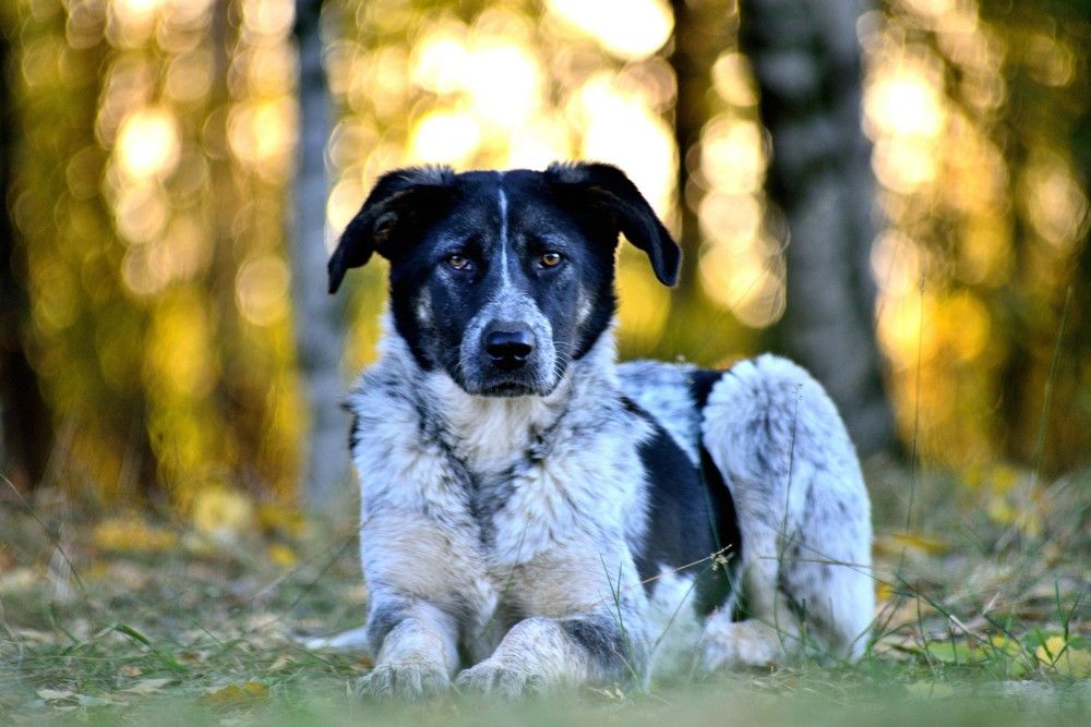 Photograph by Ronix955