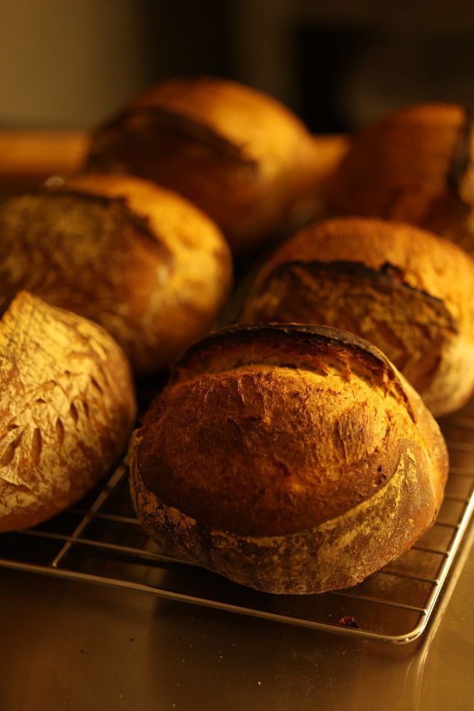 Photograph by Савиных Дарья