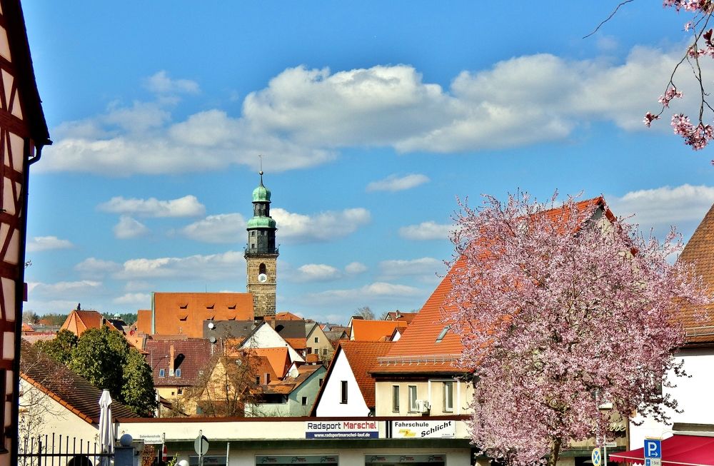 Photograph by backareva irina