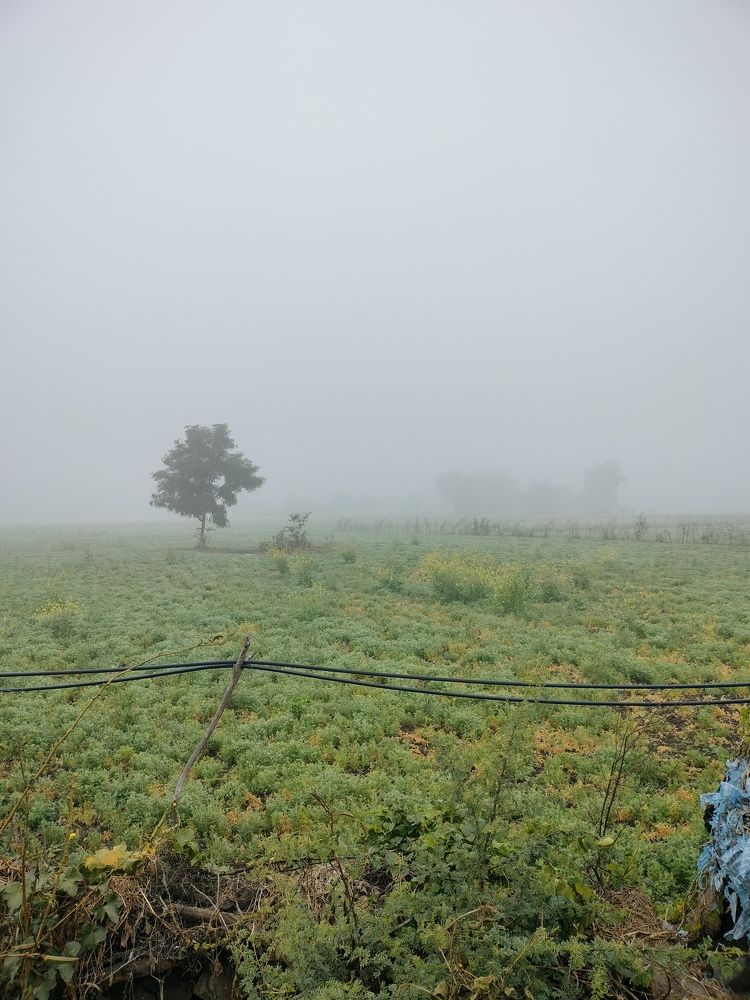 Photo #10366010