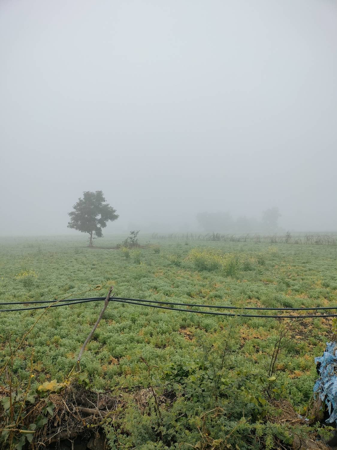 Photo #10366010