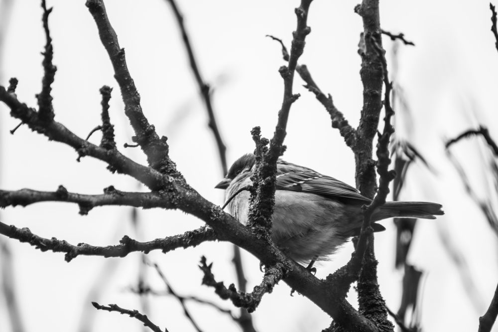 Photograph by Олег Алексеев