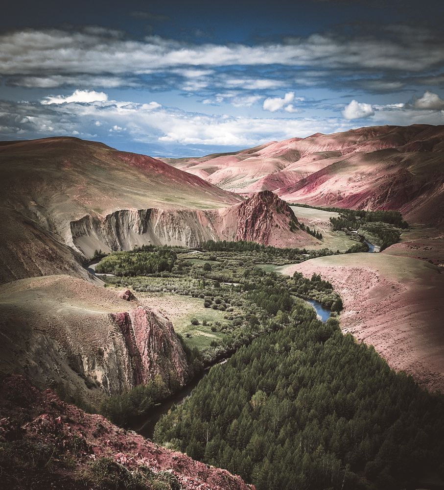 Photograph by Александра Петрова