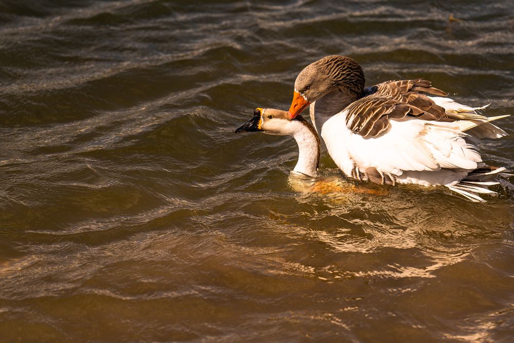 Photograph by Artur Tsvaygenbaum